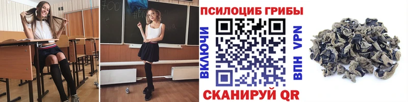 Псилоцибиновые грибы Psilocybe  Безенчук 